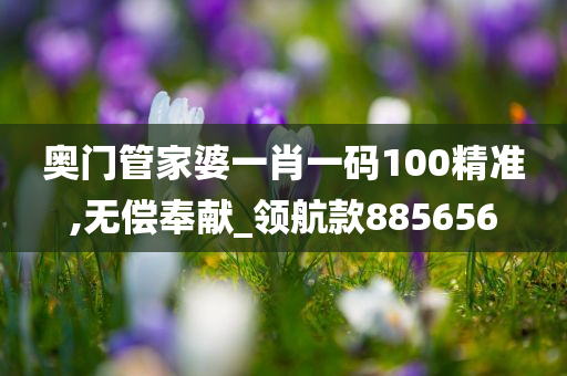 奥门管家婆一肖一码100精准,无偿奉献_领航款885656
