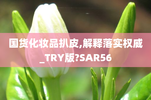 国货化妆品扒皮,解释落实权威_TRY版?SAR56