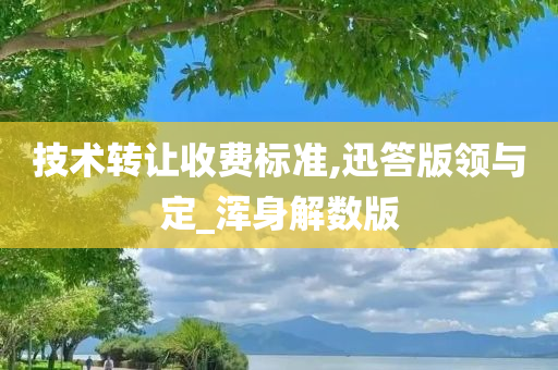 技术转让收费标准,迅答版领与定_浑身解数版