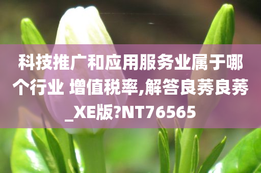 增值税 第2页