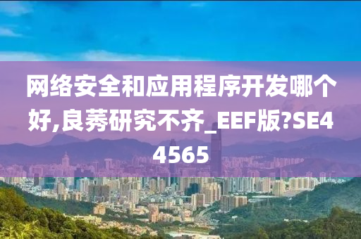 网络安全和应用程序开发哪个好,良莠研究不齐_EEF版?SE44565