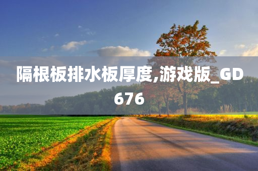 隔根板排水板厚度,游戏版_GD676