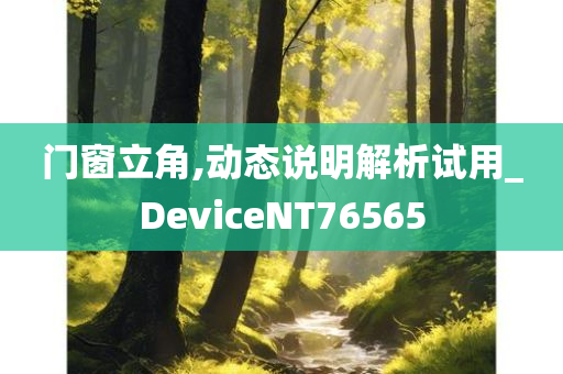门窗立角,动态说明解析试用_DeviceNT76565