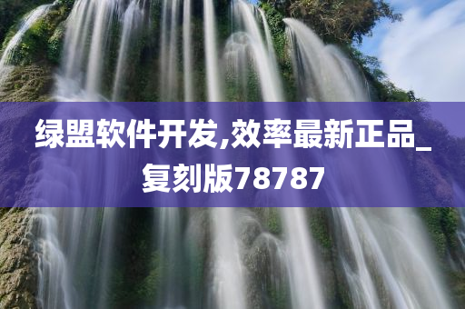 绿盟软件开发,效率最新正品_复刻版78787