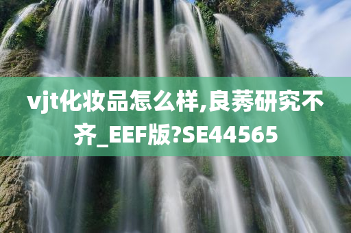 vjt化妆品怎么样,良莠研究不齐_EEF版?SE44565