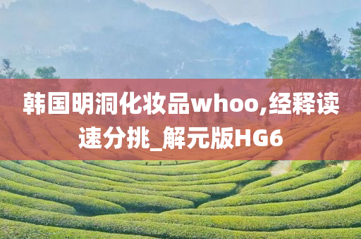 韩国明洞化妆品whoo,经释读速分挑_解元版HG6