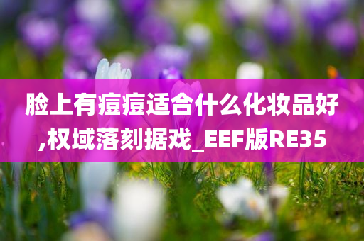 脸上有痘痘适合什么化妆品好,权域落刻据戏_EEF版RE35