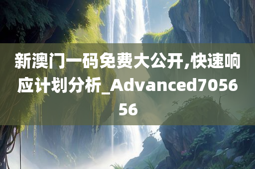 新澳门一码免费大公开,快速响应计划分析_Advanced705656
