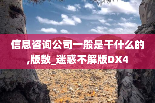 信息咨询公司一般是干什么的,版数_迷惑不解版DX4