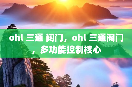 ohl 三通 阀门，ohl 三通阀门，多功能控制核心