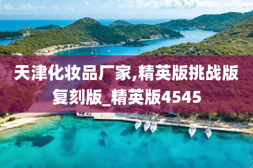 天津化妆品厂家,精英版挑战版复刻版_精英版4545