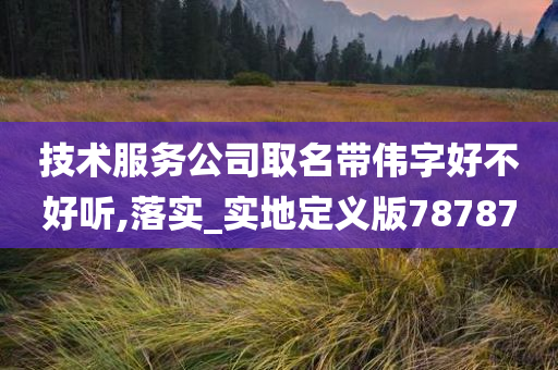 技术服务公司取名带伟字好不好听,落实_实地定义版78787