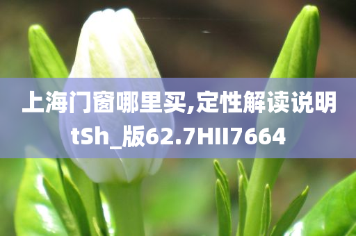 上海门窗哪里买,定性解读说明tSh_版62.7HII7664