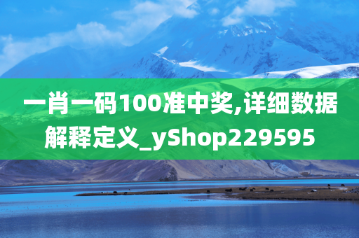 一肖一码100准中奖,详细数据解释定义_yShop229595