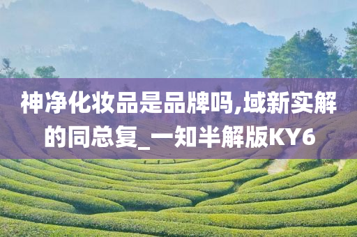 神净化妆品是品牌吗,域新实解的同总复_一知半解版KY6