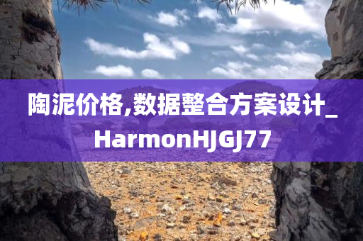 陶泥价格,数据整合方案设计_HarmonHJGJ77