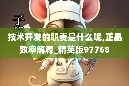 技术开发的职责是什么呢,正品效率解释_精英版97768