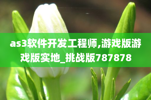 as3软件开发工程师,游戏版游戏版实地_挑战版787878