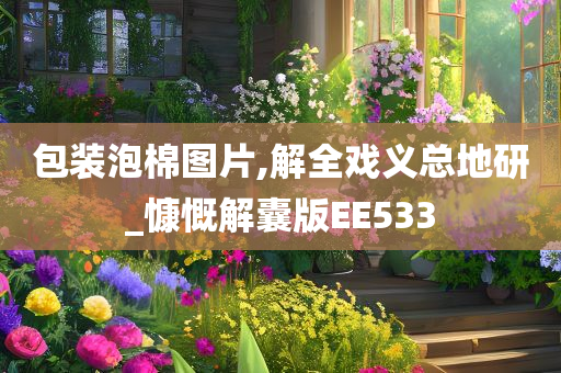 包装泡棉图片,解全戏义总地研_慷慨解囊版EE533
