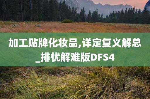 加工贴牌化妆品,详定复义解总_排忧解难版DFS4