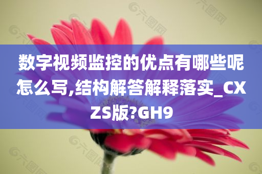 数字视频监控的优点有哪些呢怎么写,结构解答解释落实_CXZS版?GH9
