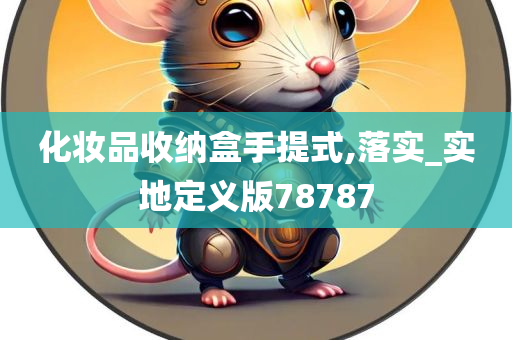 化妆品收纳盒手提式,落实_实地定义版78787