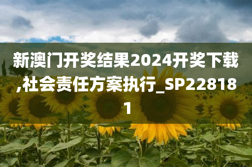 新澳门开奖结果2024开奖下载,社会责任方案执行_SP228181