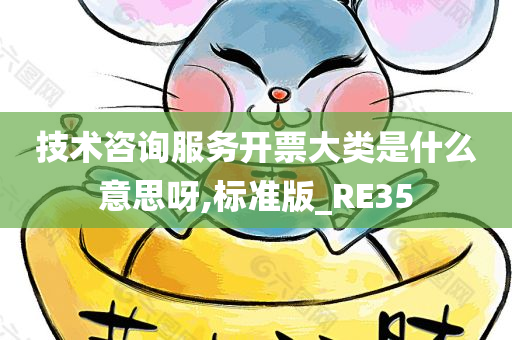 技术咨询服务开票大类是什么意思呀,标准版_RE35
