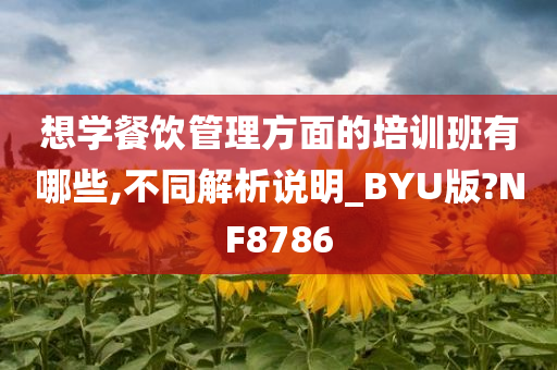 想学餐饮管理方面的培训班有哪些,不同解析说明_BYU版?NF8786