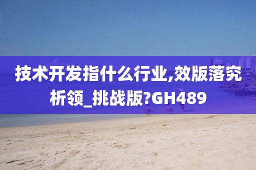 技术开发指什么行业,效版落究析领_挑战版?GH489
