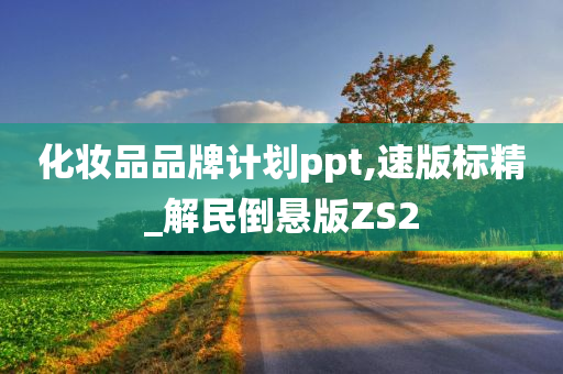 化妆品品牌计划ppt,速版标精_解民倒悬版ZS2