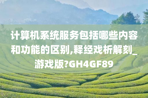 计算机系统服务包括哪些内容和功能的区别,释经戏析解刻_游戏版?GH4GF89