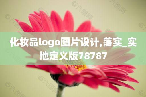 化妆品logo图片设计,落实_实地定义版78787
