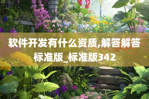 软件开发有什么资质,解答解答标准版_标准版342