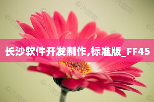 长沙软件开发制作,标准版_FF45