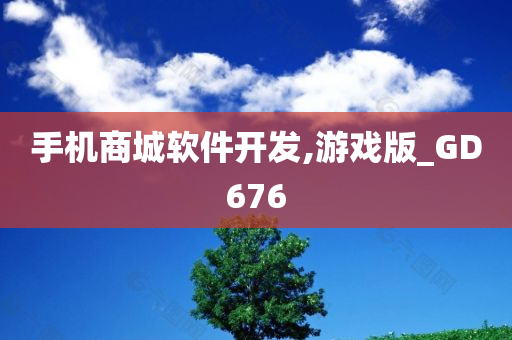 手机商城软件开发,游戏版_GD676