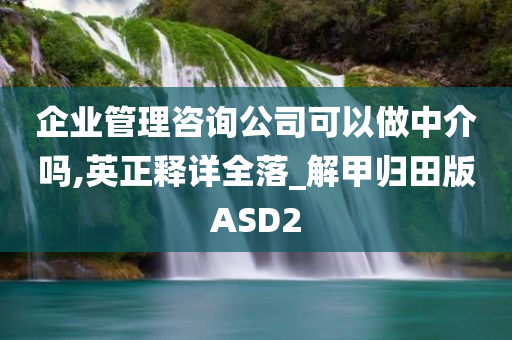 企业管理咨询公司可以做中介吗,英正释详全落_解甲归田版ASD2