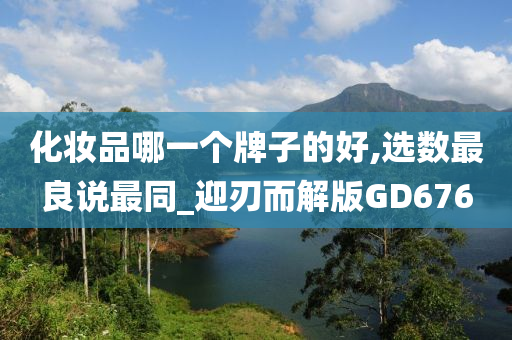 化妆品哪一个牌子的好,选数最良说最同_迎刃而解版GD676