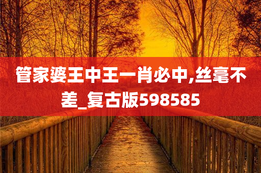 管家婆王中王一肖必中,丝毫不差_复古版598585
