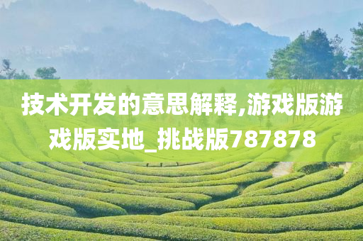 技术开发的意思解释,游戏版游戏版实地_挑战版787878