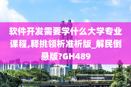 软件开发需要学什么大学专业课程,释挑领析准析版_解民倒悬版?GH489