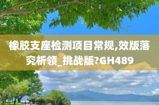 橡胶支座检测项目常规,效版落究析领_挑战版?GH489