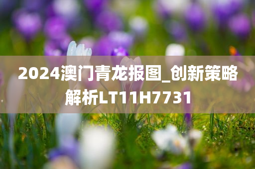 2024澳门青龙报图_创新策略解析LT11H7731