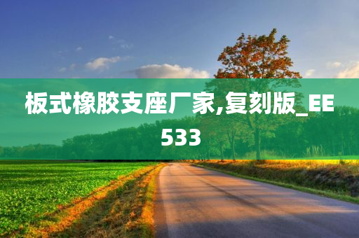 板式橡胶支座厂家,复刻版_EE533