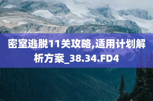密室逃脱11关攻略,适用计划解析方案_38.34.FD4