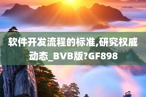 软件开发流程的标准,研究权威动态_BVB版?GF898