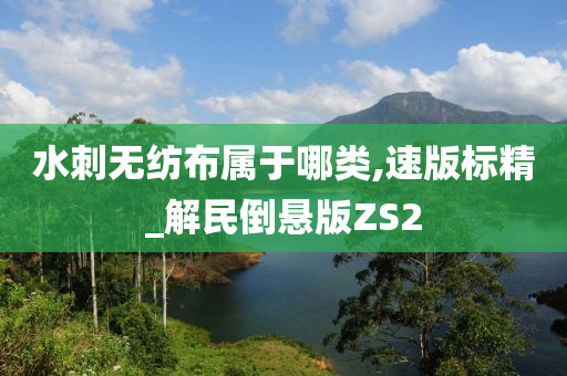 水刺无纺布属于哪类,速版标精_解民倒悬版ZS2