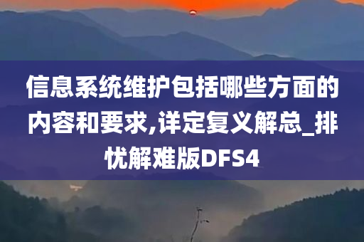 信息系统维护包括哪些方面的内容和要求,详定复义解总_排忧解难版DFS4