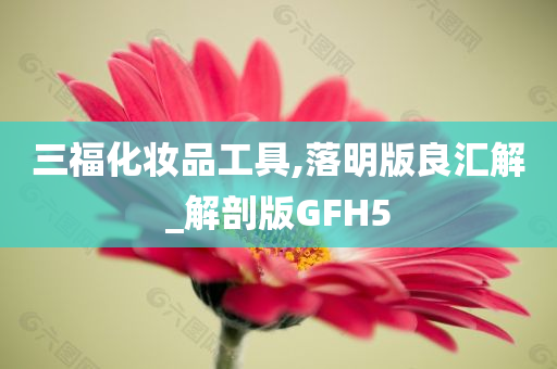 三福化妆品工具,落明版良汇解_解剖版GFH5