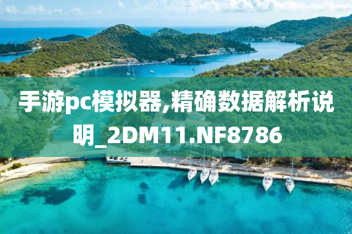 手游pc模拟器,精确数据解析说明_2DM11.NF8786